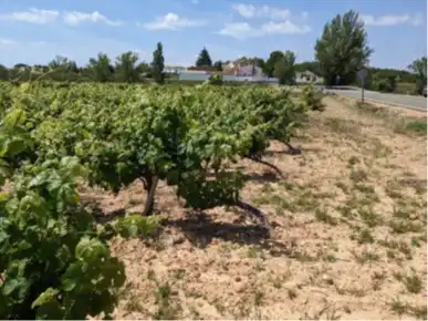Terrain rustique à vendre à Requena, imagen 9