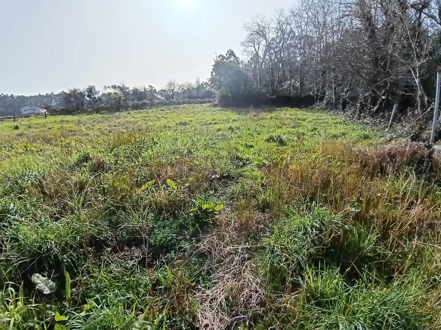 Country homes for sale in Meis