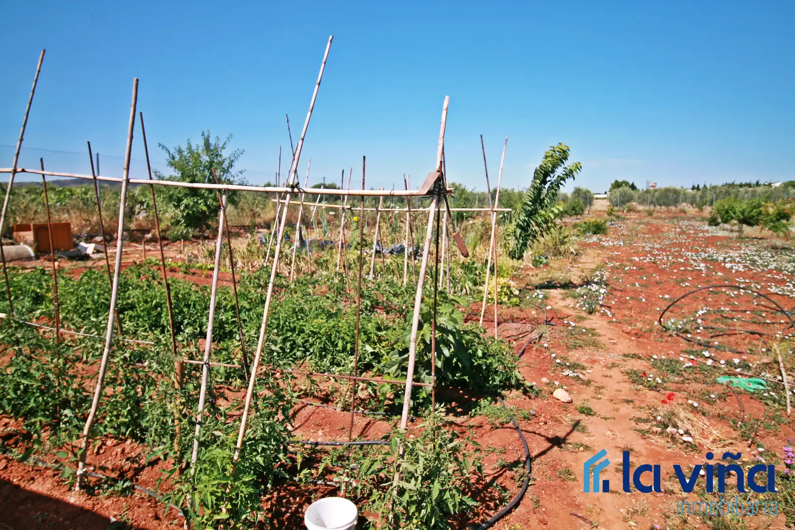 Rural land for sale in Mollina, imagen 9