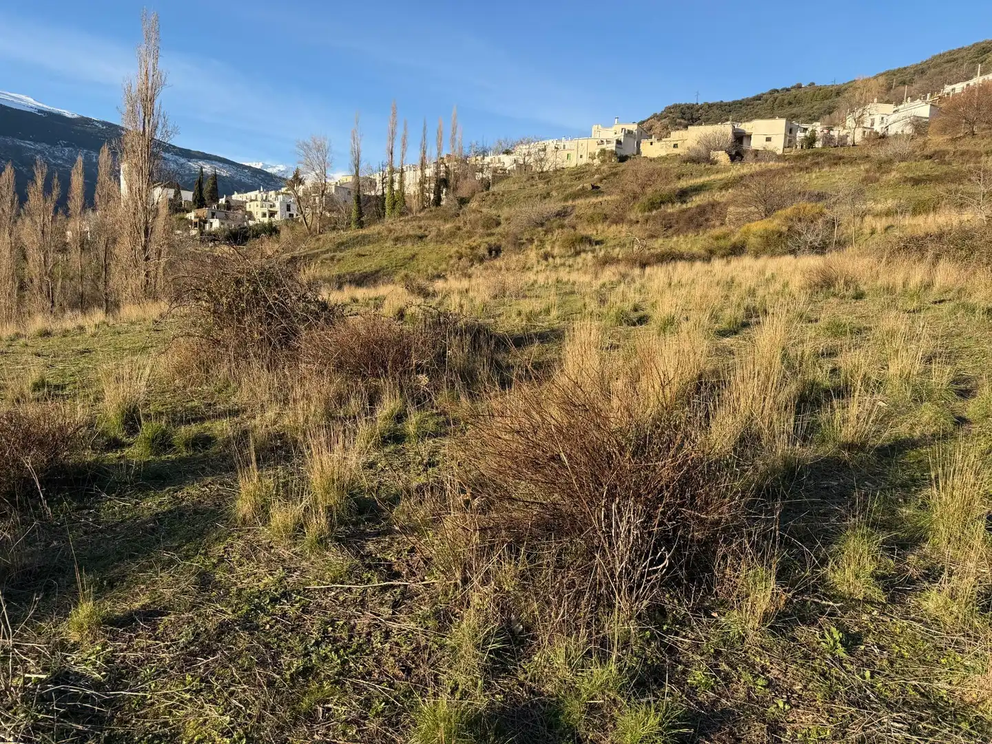 Rural land for sale in Bubión, imagen 13