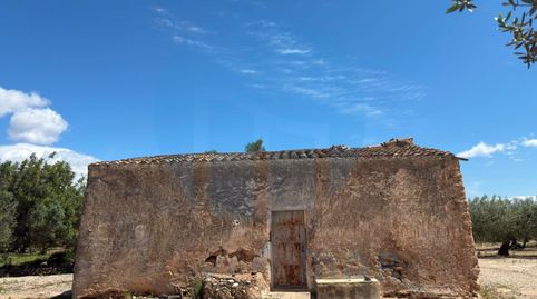 Foto 4 de Finca rústica en venda a Mas de Barberans, Tarragona