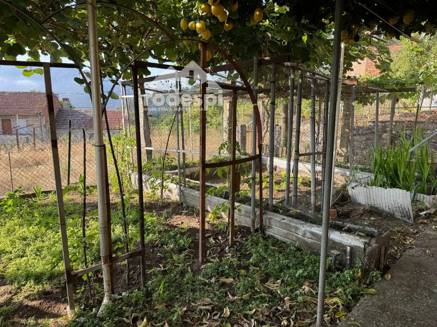 Detached house for sale in Franqueiran, imagen 61