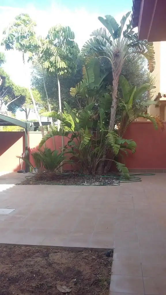 Jardín de Casa o chalet en venta en Chiclana de la Frontera con Aire acondicionado, Calefacción y Jardín privado