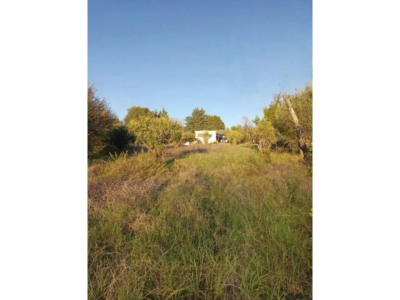 Terreno rustico in vendita a Calle montesol 50, imagen 11