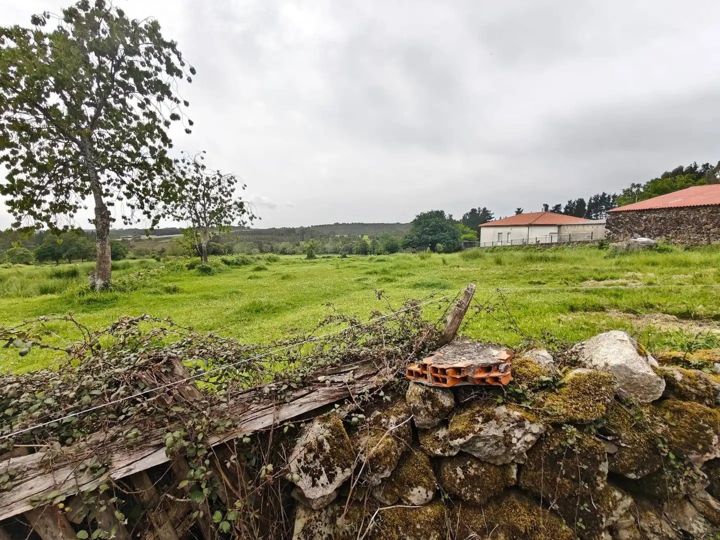 Houses for sale in Palas de Rei