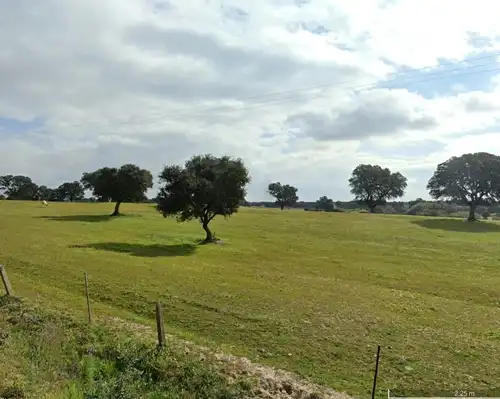 Terreni e lotti in vendita a Camino de Torralba 77
