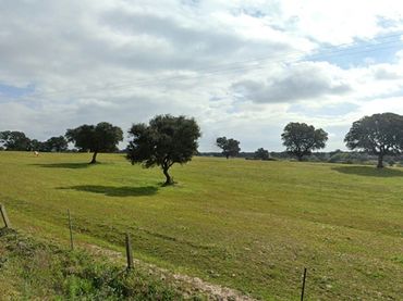 Terreny rústic en venda a Camino de Torralba 77