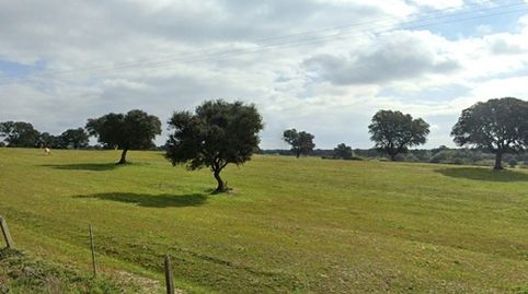 PINCA EN OROPESA TOLEDO