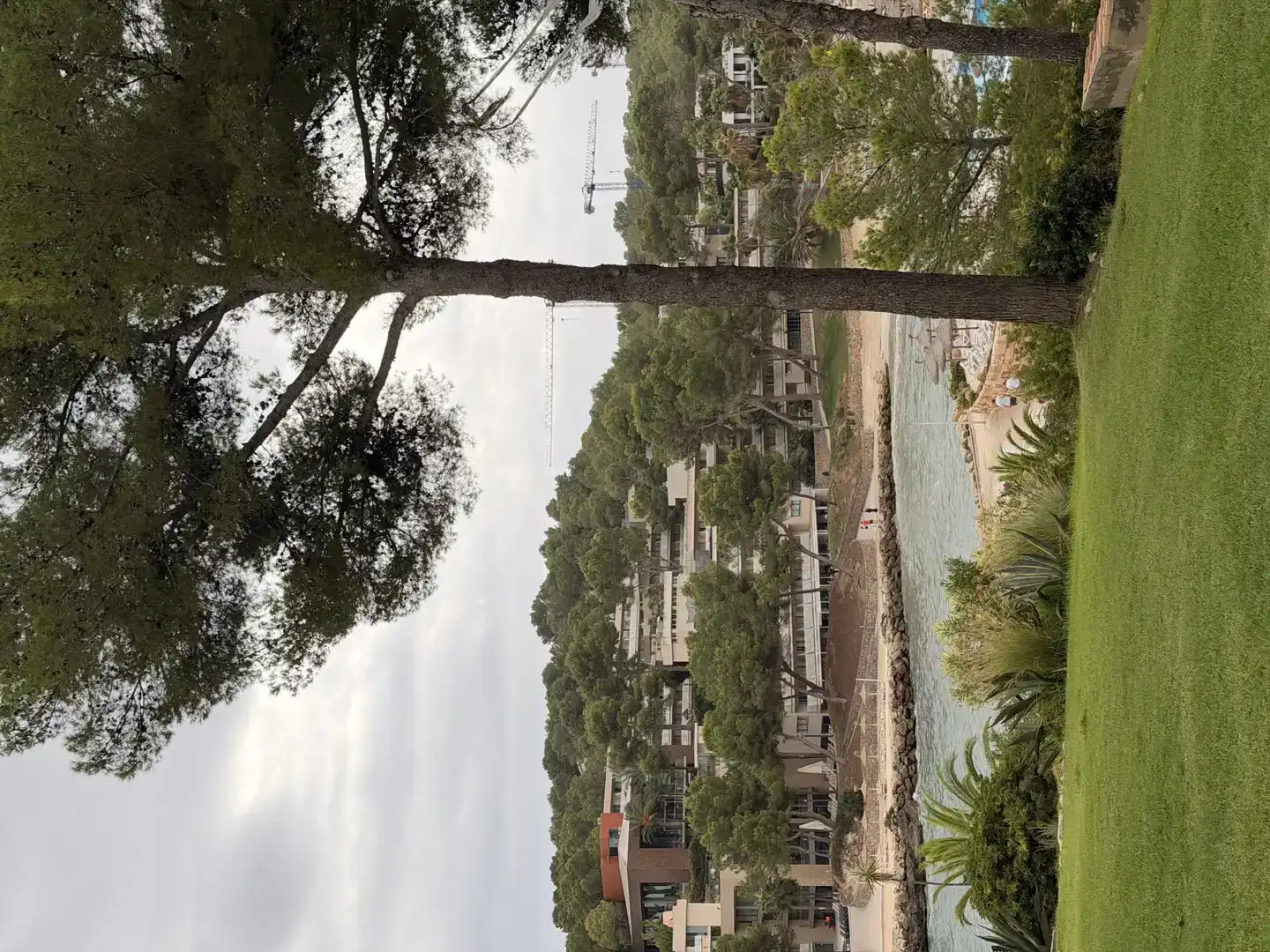 Exterior view of Flat for rent in Calvià  with Air Conditioner and Swimming Pool