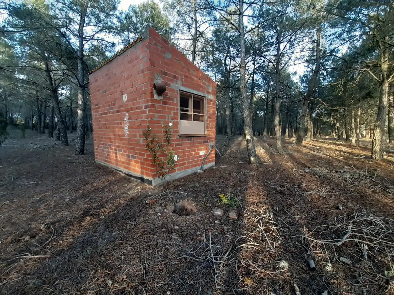 Terreni e lotti in vendita a Moreruela de Tábara, imagen 2