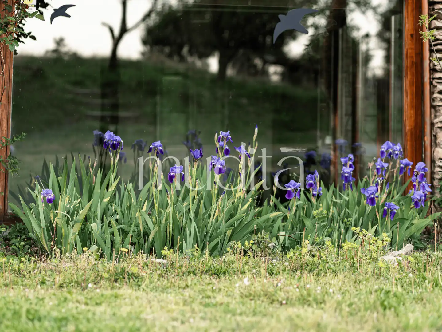 Jardí de Finca rústica en venda en Tavertet amb Calefacció, Jardí privat i Terrassa