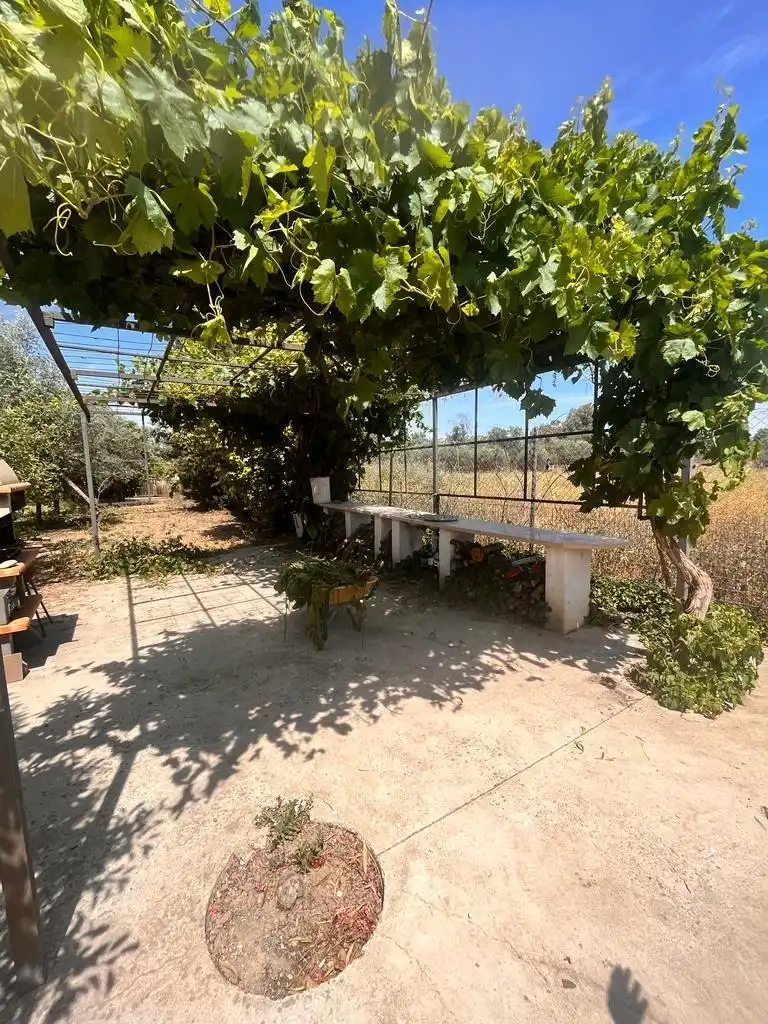 Jardí de Casa o xalet en venda en Córdoba amb Aire condicionat, Jardí privat i Terrassa