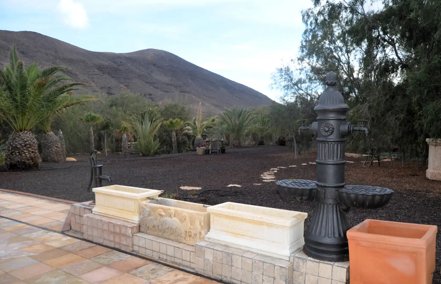 Jardí de Casa o xalet en venda en Pájara amb Jardí privat, Terrassa i Piscina