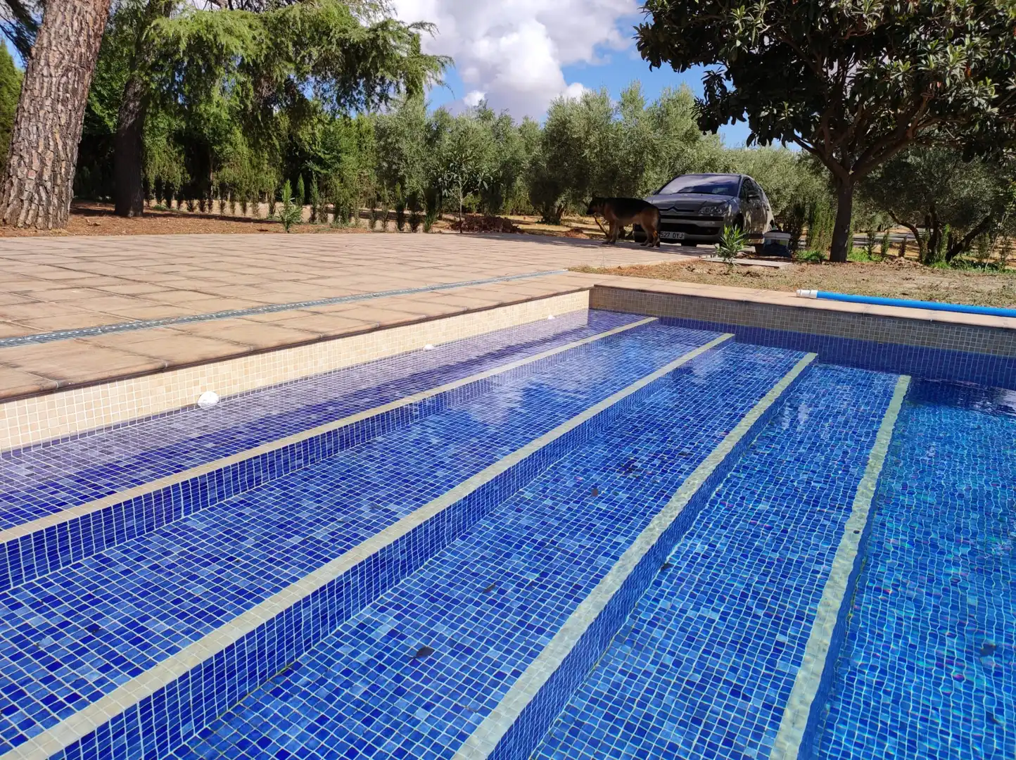 Piscina de Casa o chalet en venta en Ciudad Real con Aire acondicionado, Calefacción y Jardín privado