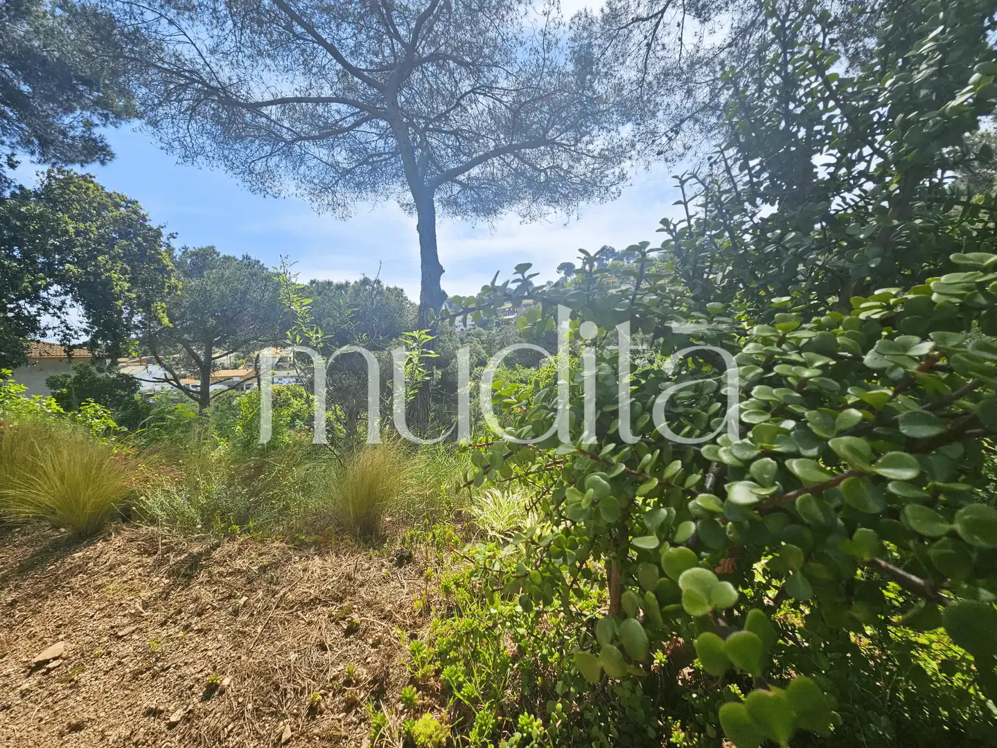 Terreno residencial en venta en Joan Maragall i Gorina, imagen 19