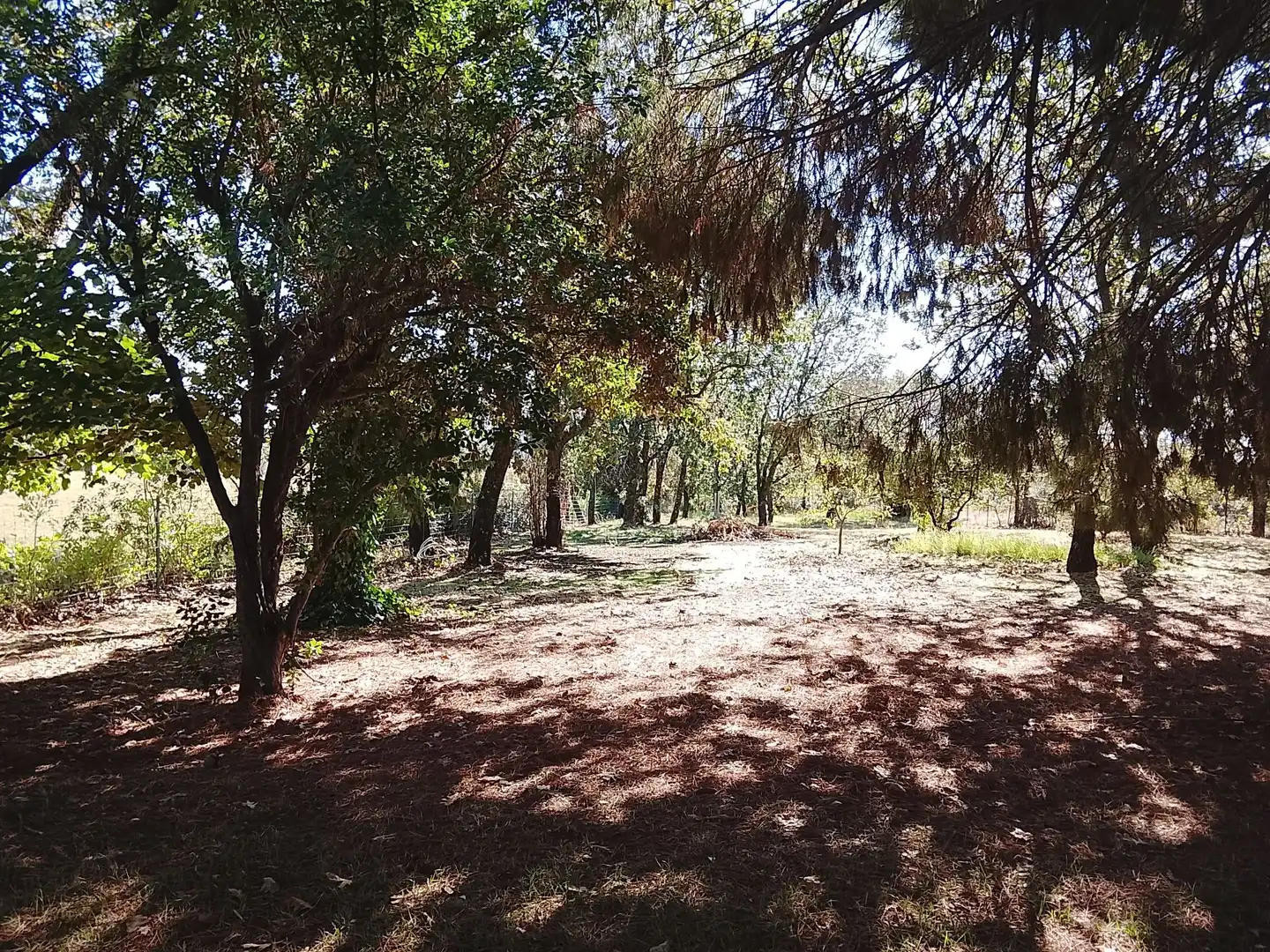 Haus mit Garten zum Verkauf in Madrigal de la Vera, imagen 126