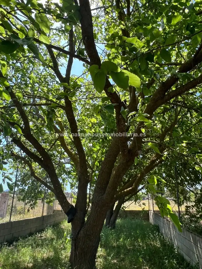 Country house zur Miete in Muro mit Klimaanlage, Heizung und Privatgarten