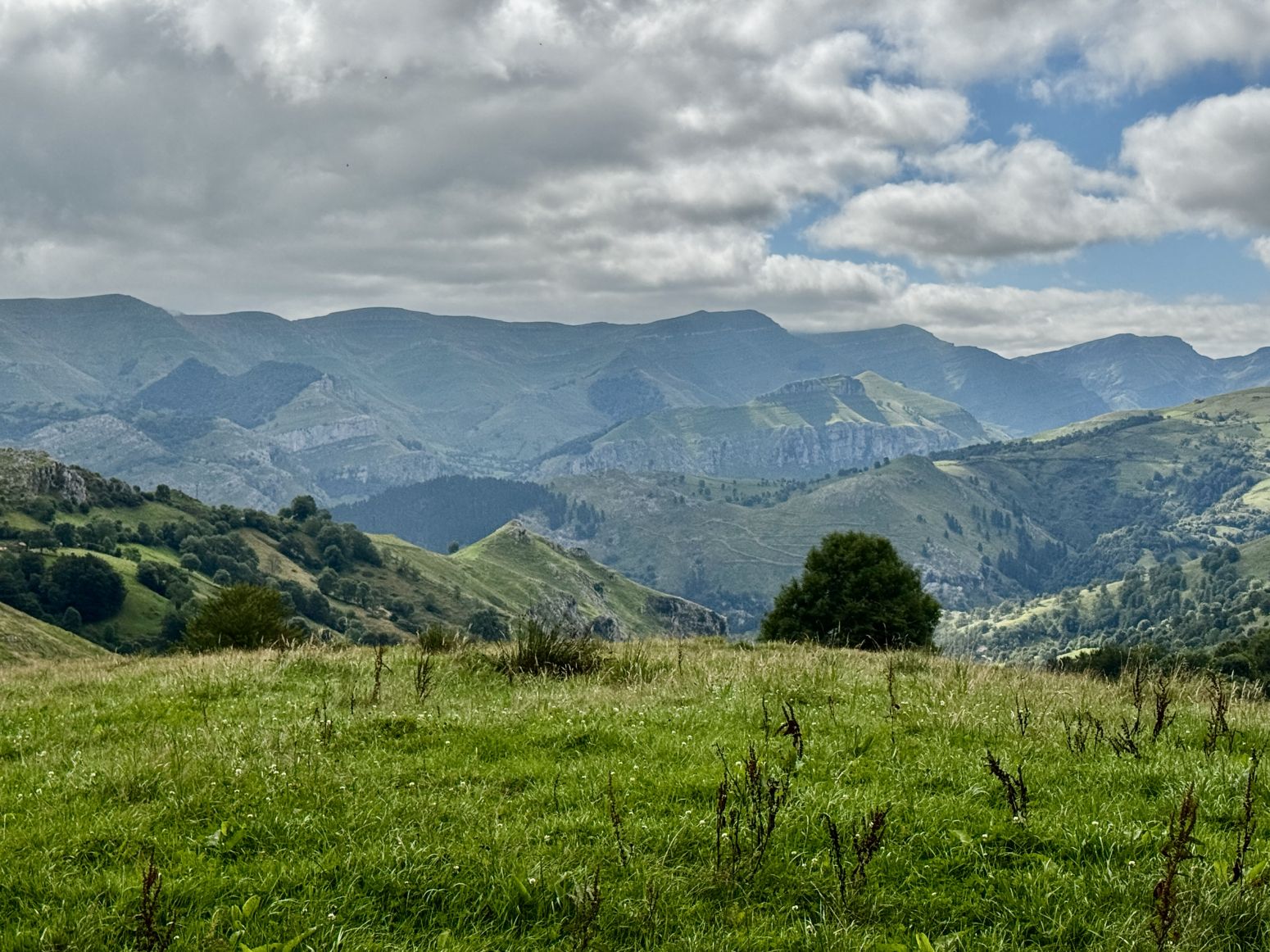 Vista exterior de Casa o xalet en venda en Miera