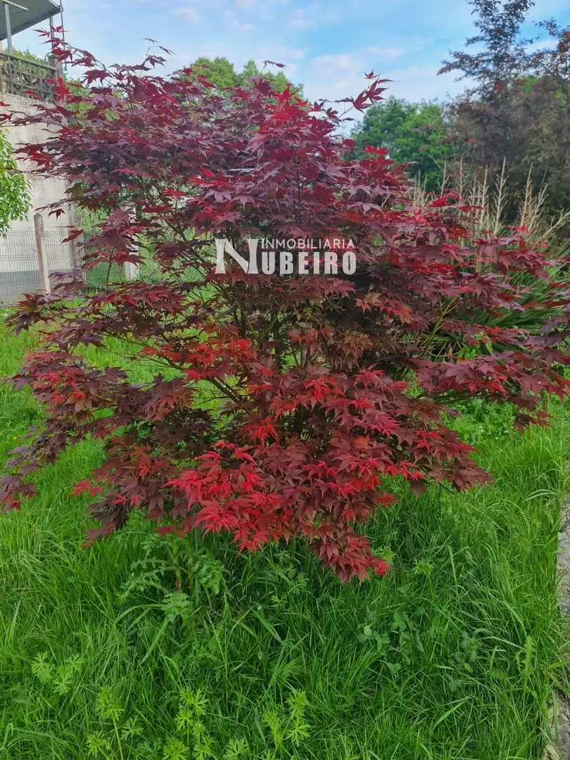 Terreni e lotti in vendita a Nc, imagen 18