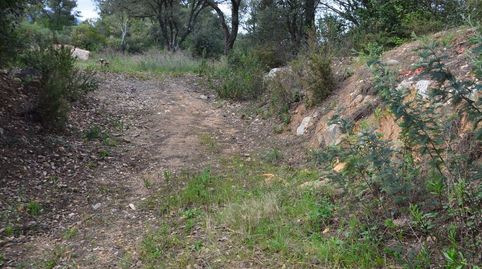 TERRENO EN BOSCOS DEL MONTNEGRE, immagine 2