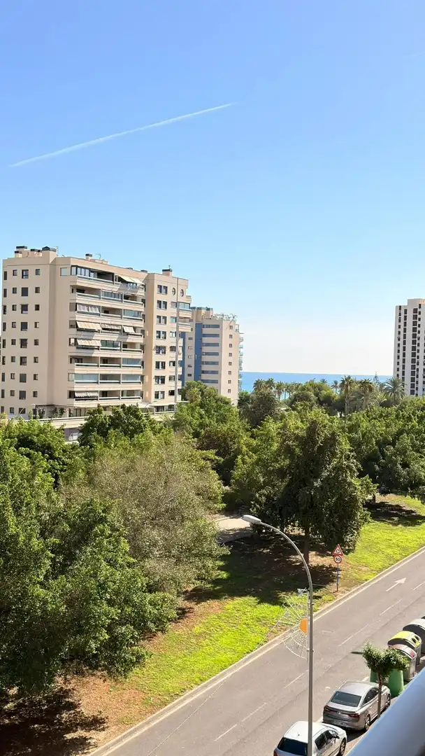 Piso con piscina en alquiler en Avenida Maestro José Garberi Serrano