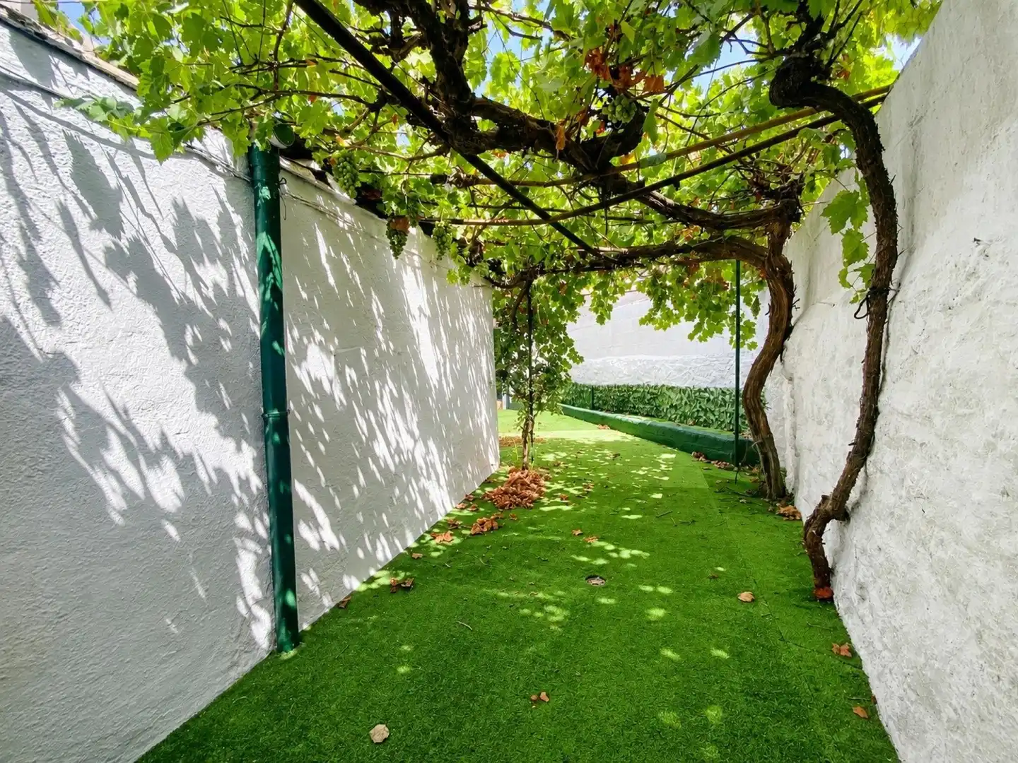 Jardín de Finca rústica en venta en Alcalá la Real con Aire acondicionado, Calefacción y Amueblado
