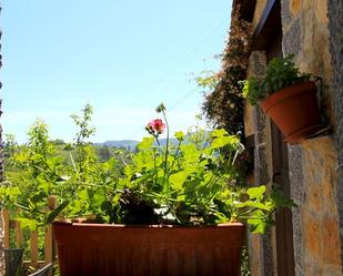 Jardí de Casa o xalet en venda en Cangas de Onís amb Jardí privat, Terrassa i Balcó