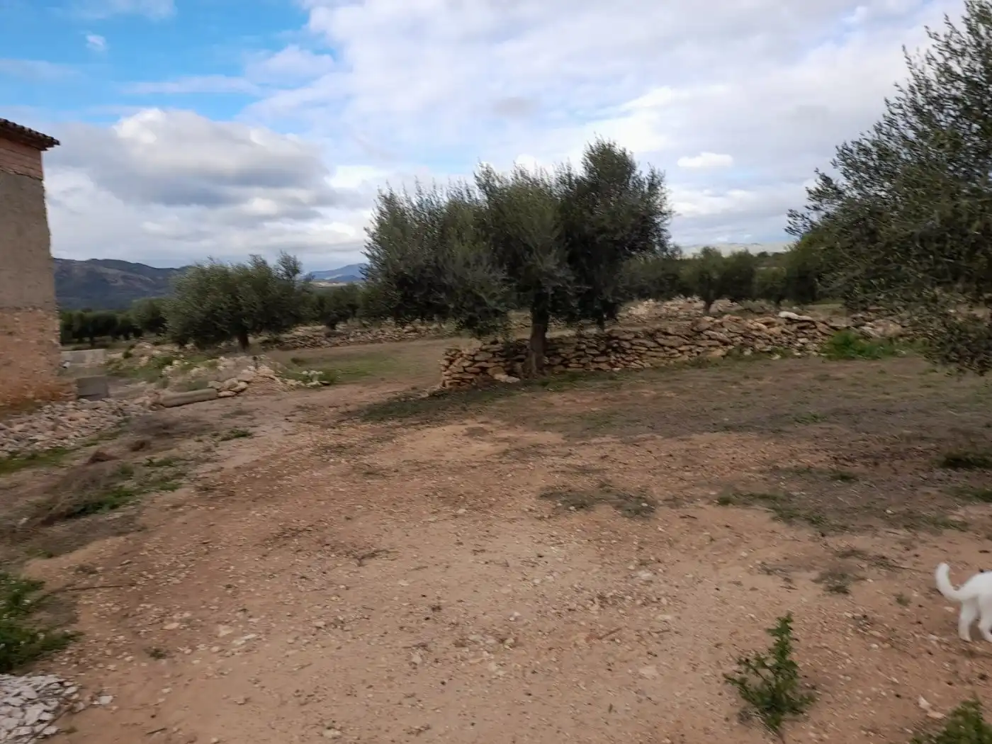 Casa rústica en venta en Tivissa, imagen 44