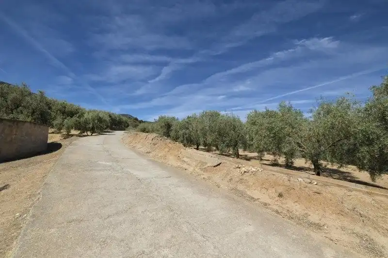 Terreno rustico in vendita a El Valle, imagen 4
