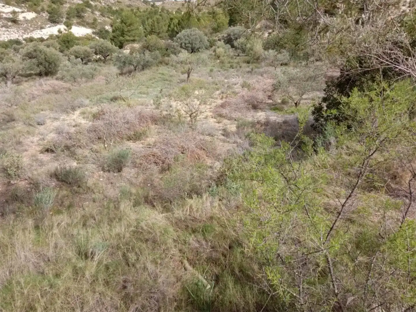 Terreno en venta en Busot