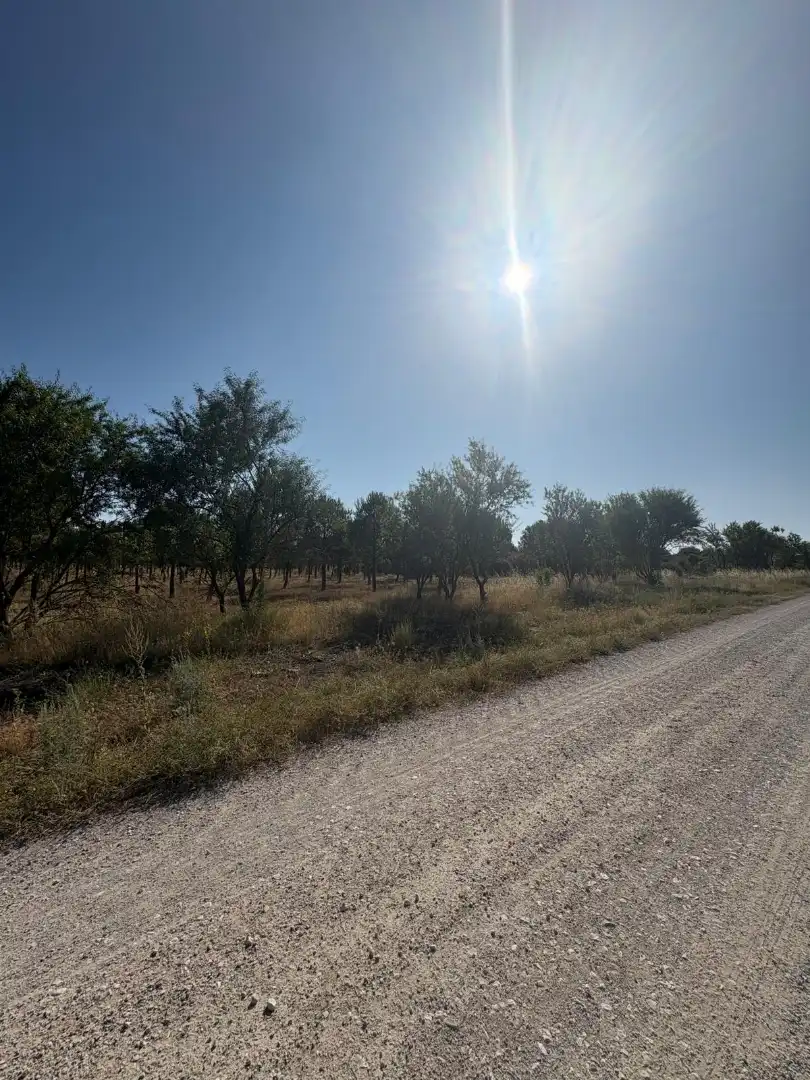 Terreno en venta en Cogeces del Monte
