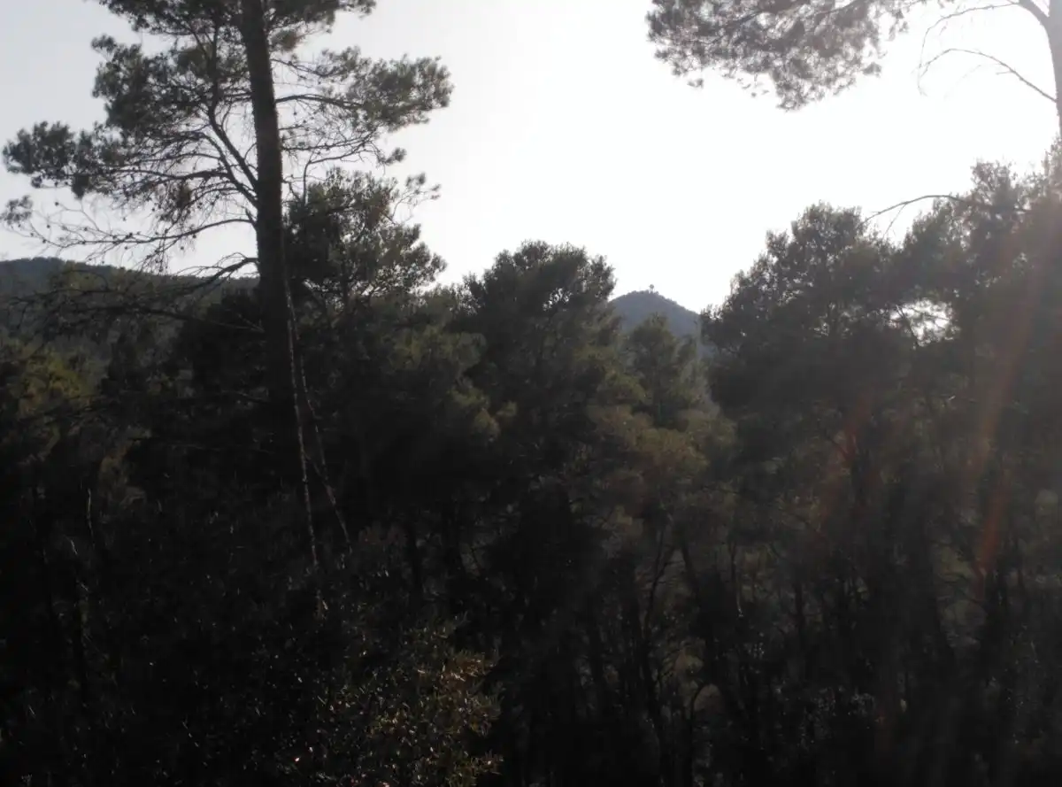 Terreni e lotti in vendita a Corbera de Llobregat, imagen 7