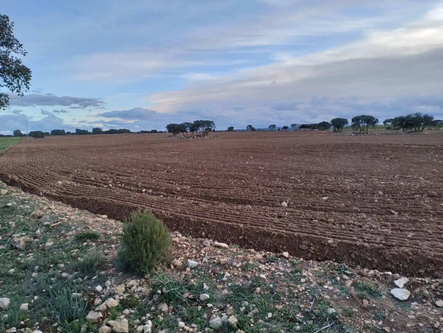 Terreny rústic en venda a Villarrobledo, imagen 5