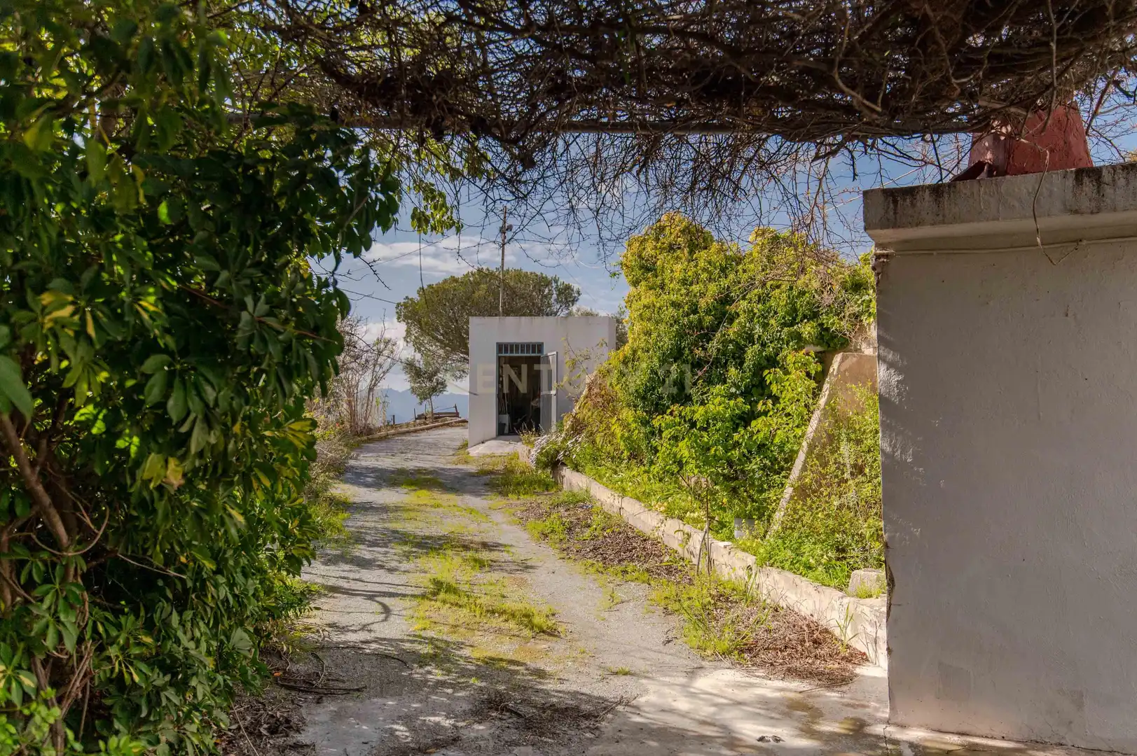 Vista exterior de Casa o xalet en venda en Vélez de Benaudalla amb Traster i Forn