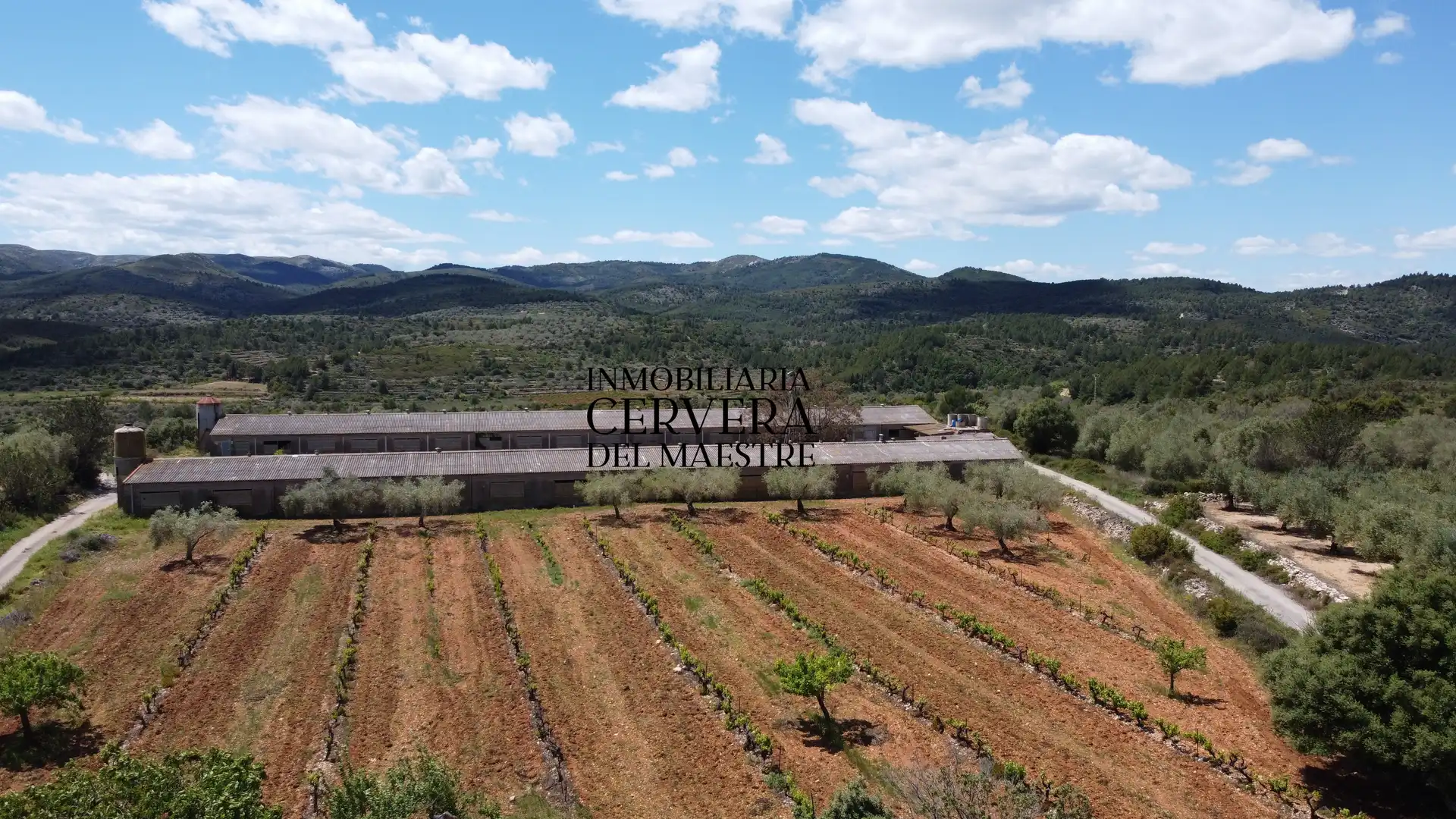 Terreno rustico in vendita a Cervera del Maestre, imagen 7