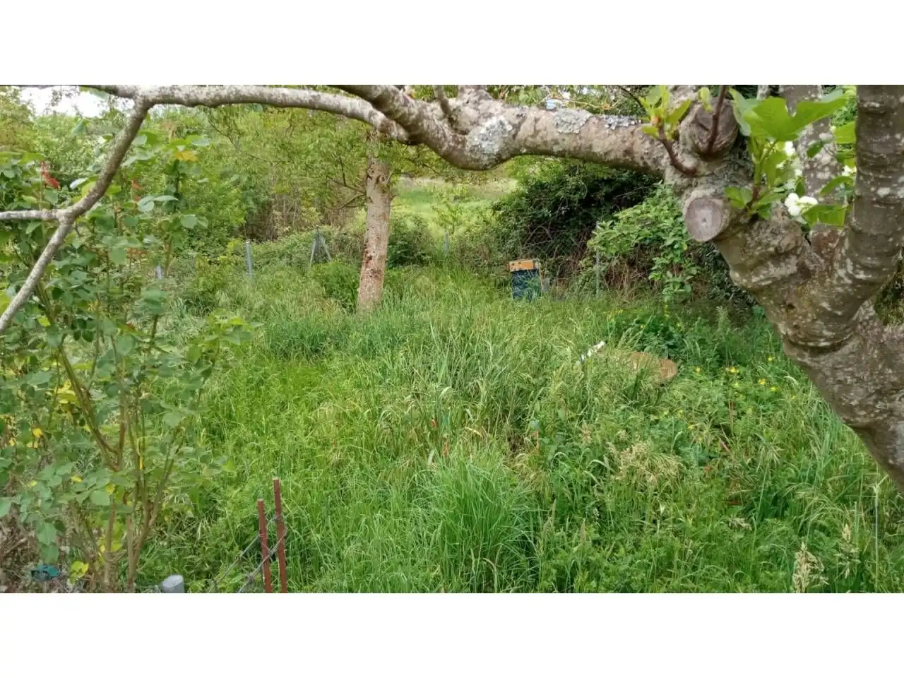 Finca rústica en venda en A Rúa 