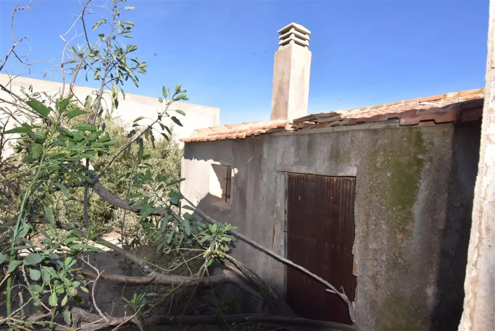 Jardí de Casa o xalet en venda en Fuente Álamo de Murcia amb Jardí privat i Terrassa