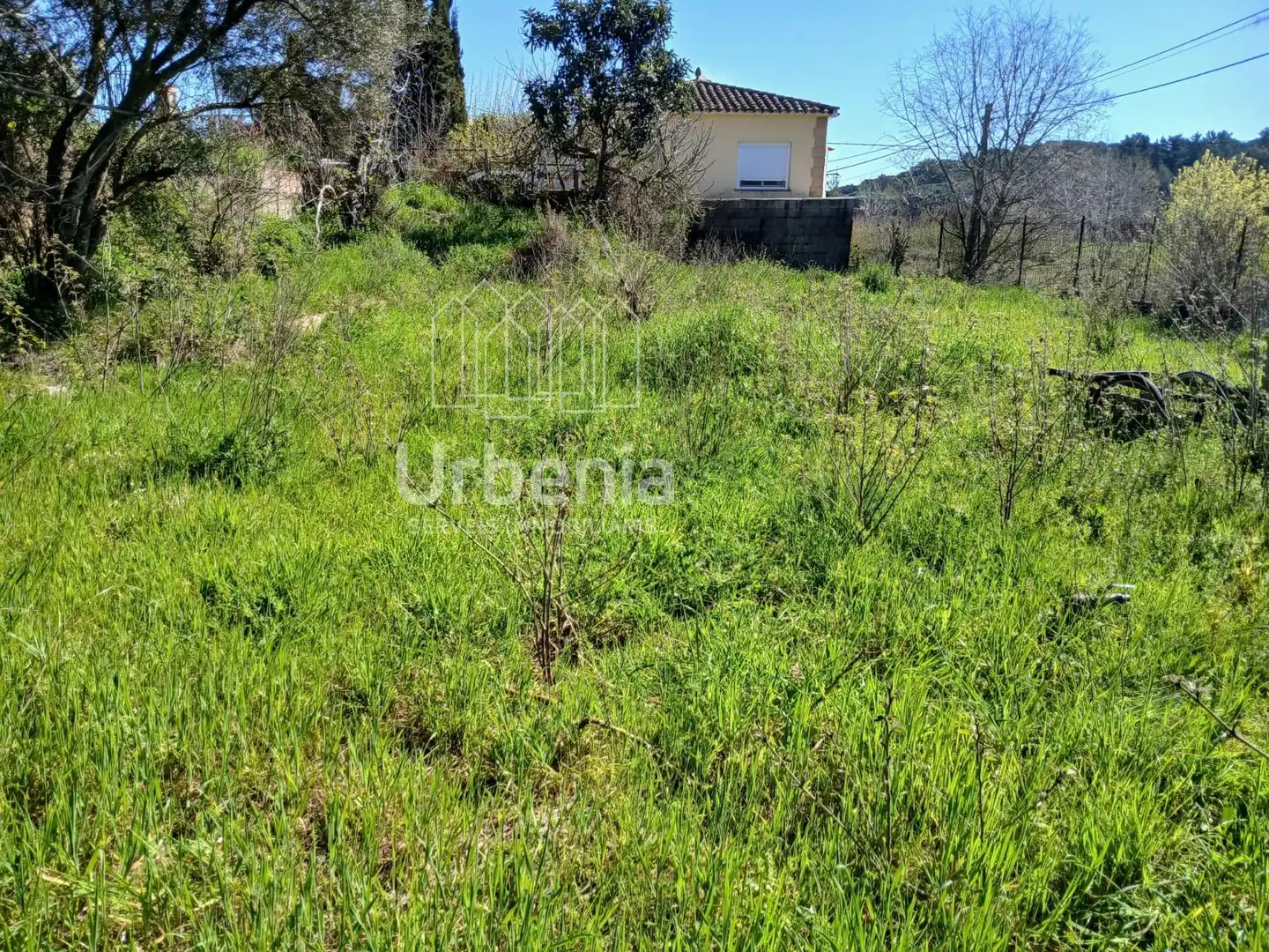 Terreno rústico en venta en Palafolls, imagen 4