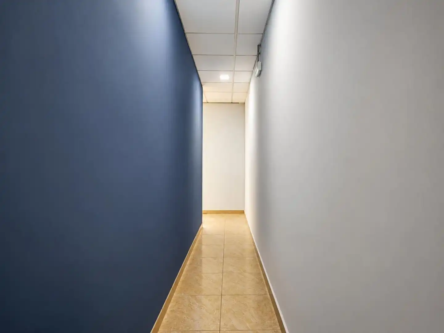 Local comercial en alquiler en del Castillo 17, imagen 14