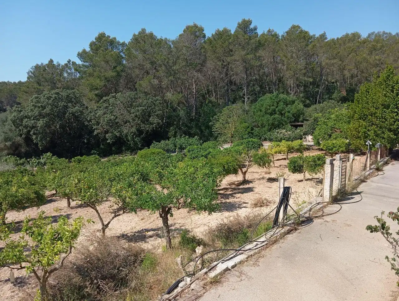 Casa o chalet en venta en Lloret de Vistalegre