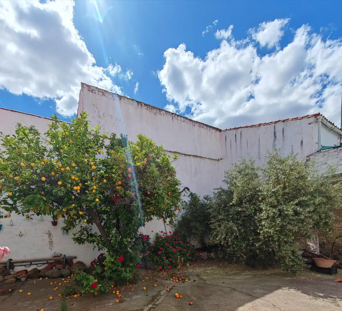Vista exterior de Casa o chalet en venta en Puebla del Prior con Jardín privado