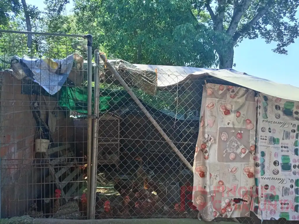 Vista exterior de Casa o xalet en venda en Vilobí d'Onyar