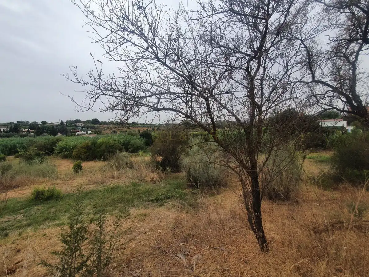 Finca rústica en venta en Málaga