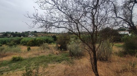 Foto 4 de Finca rústica en venta en Campanillas, Málaga Capital