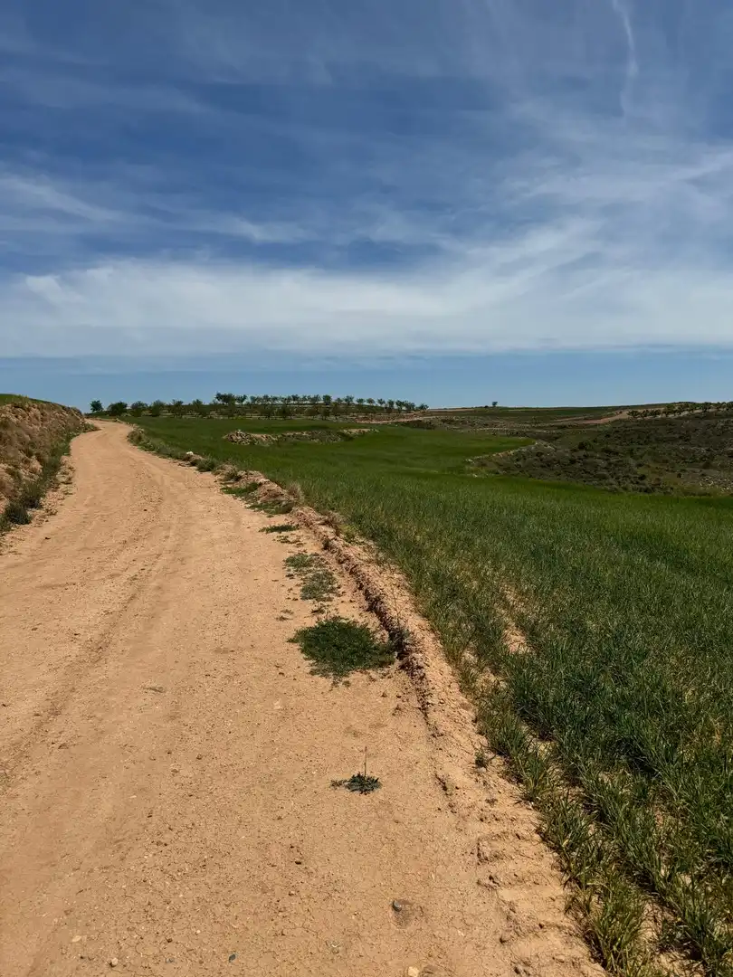 Terreno rustico in vendita a Cervera del Río Alhama, imagen 8
