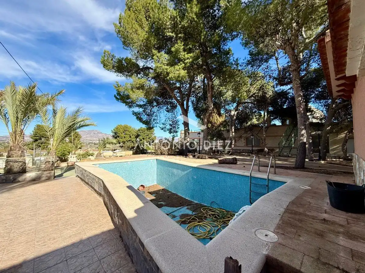 Swimming pool of Houses for sale in Aspe  with Swimming Pool
