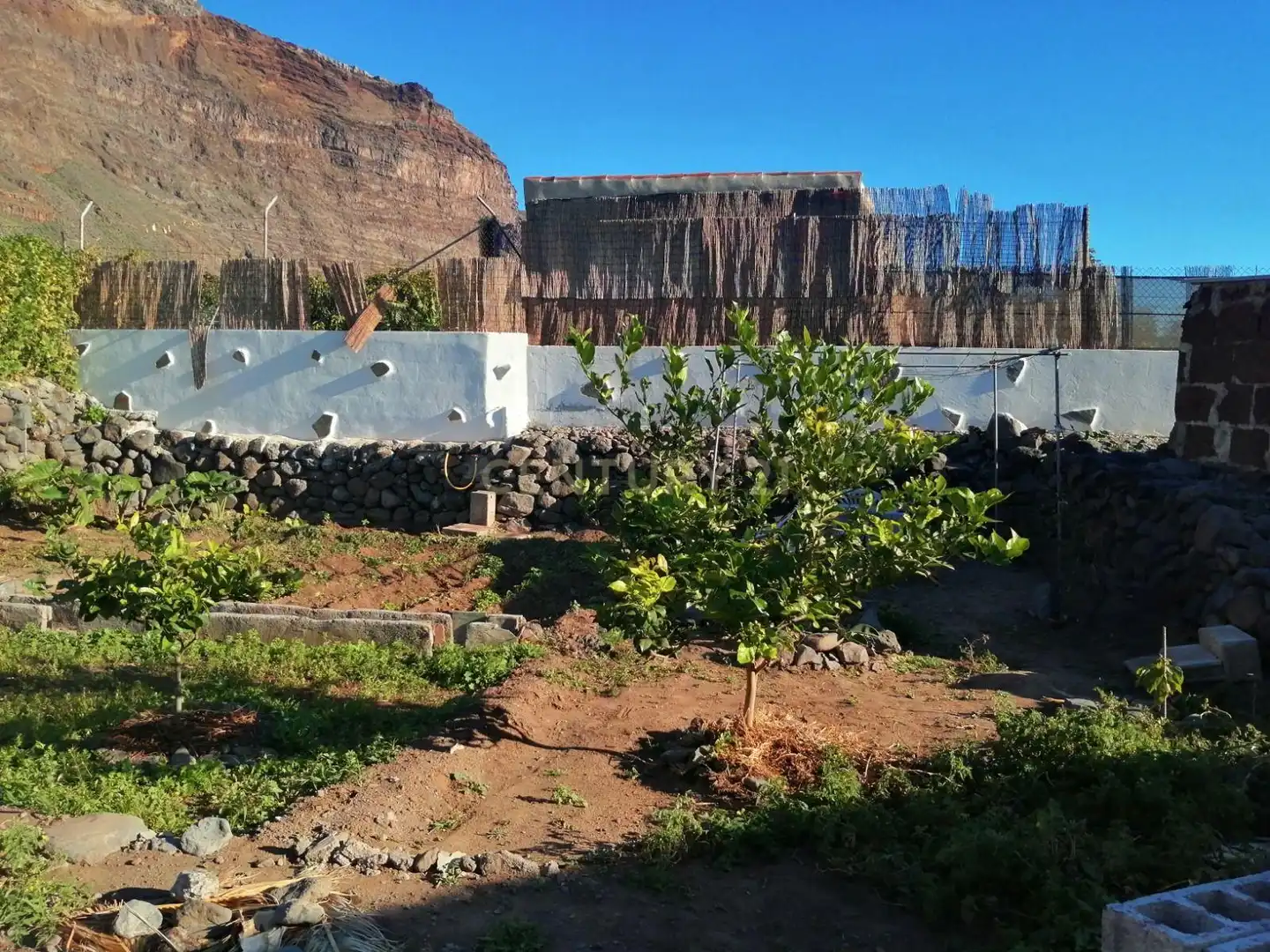 Garden of Land for sale in Valle Gran Rey