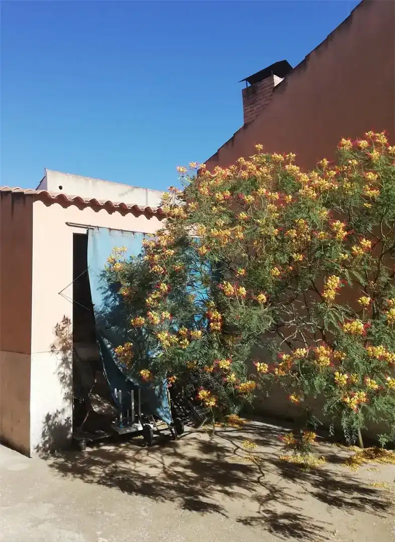 Jardí de Pis en venda en Lillo amb Balcó