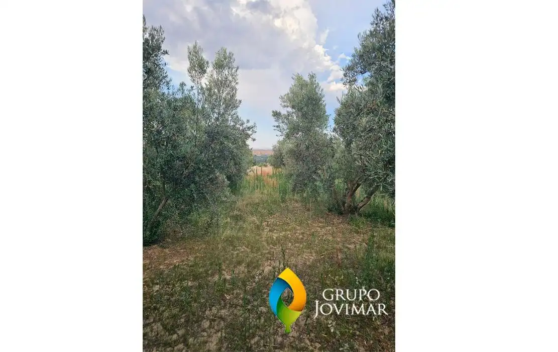Rustikales Grundstück zum Verkauf in Guadix, imagen 12