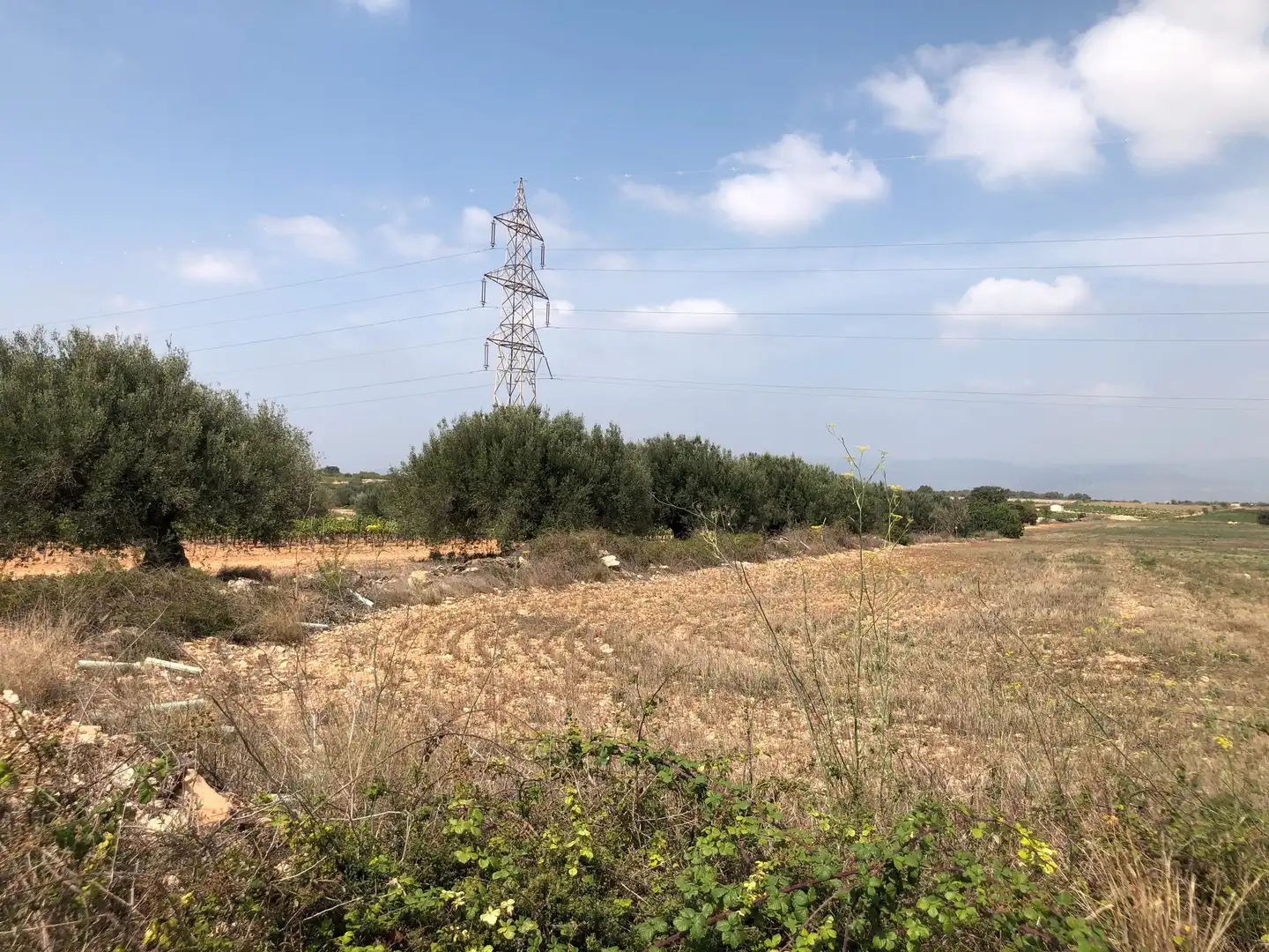 Terreno rústico en venta en Vilabella, imagen 18